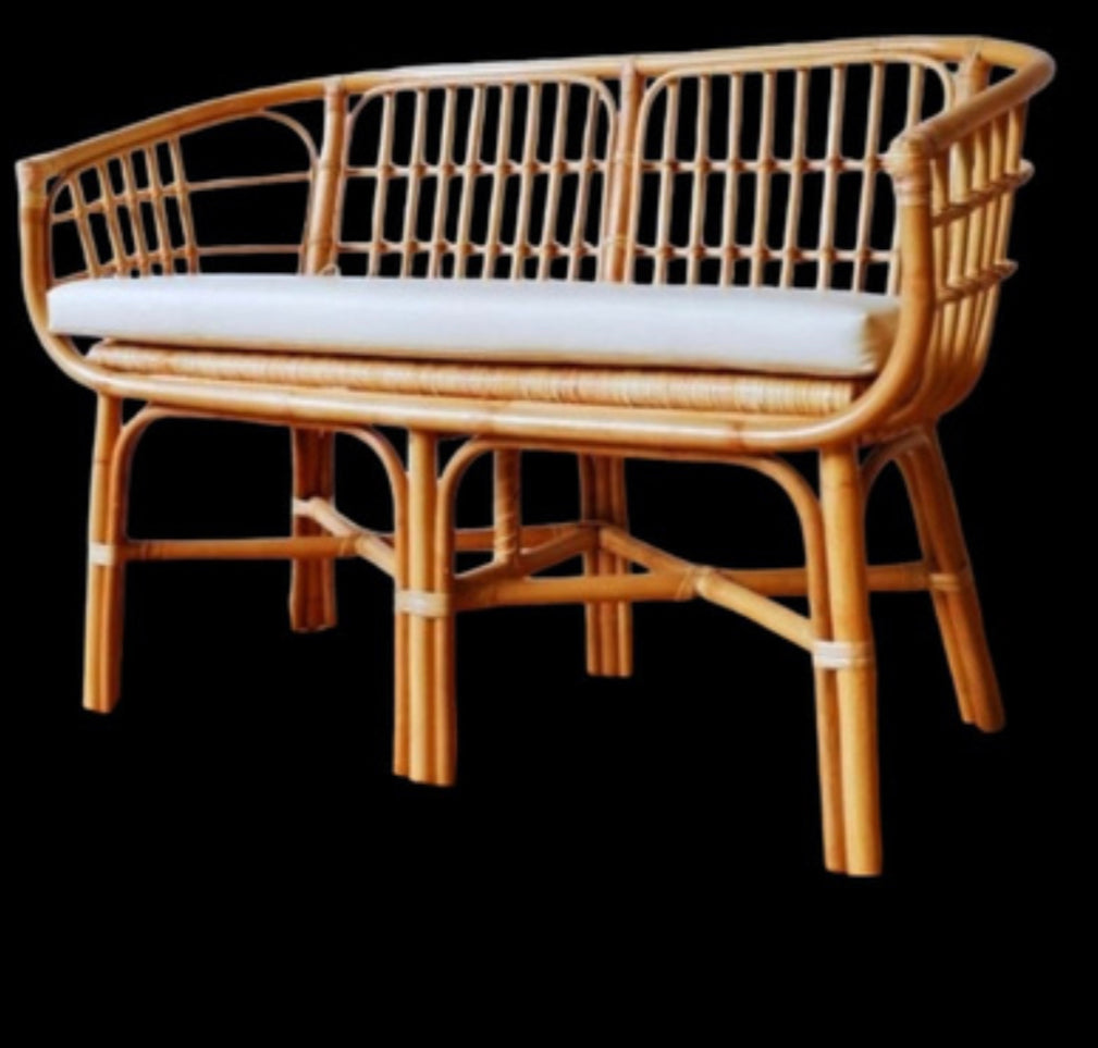 Long Rattan Chair by KPPUI