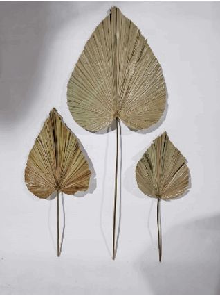 Medium Palm Leaves by Gudang Handycraft